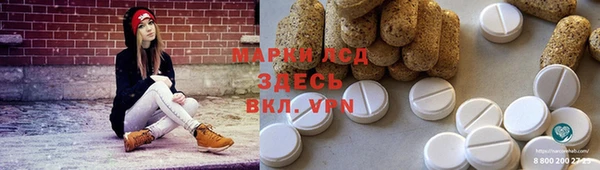 прущие грибы Балахна