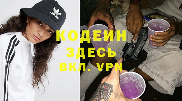 индика Балабаново
