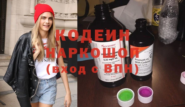 прущие грибы Балахна