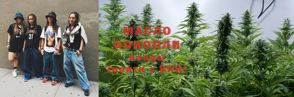 индика Балабаново
