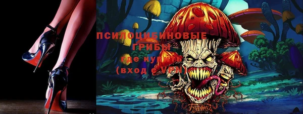 прущие грибы Балахна