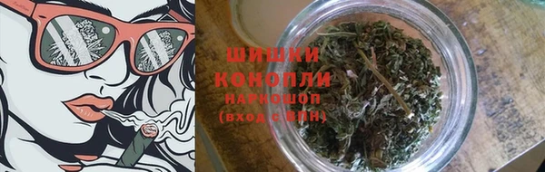 индика Балабаново
