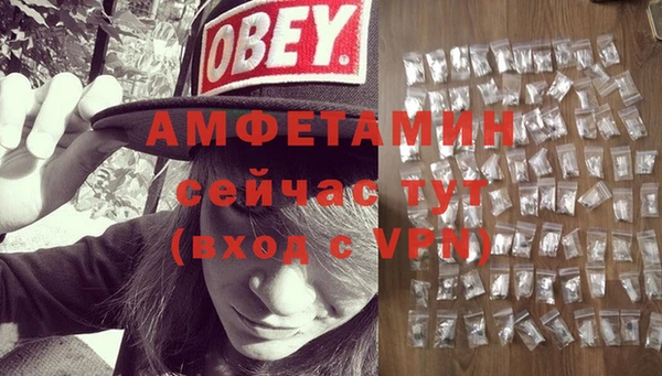 прущие грибы Балахна