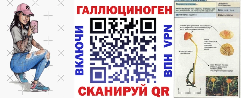 купить наркотики сайты  kraken зеркало  Псилоцибиновые грибы мухоморы  Болхов 